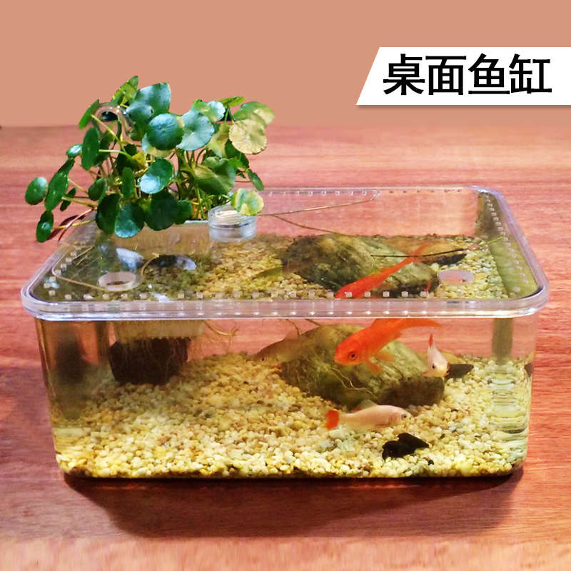 乌龟缸水陆带晒台塑料盆小型桌面鱼缸免换水亚克力爬虫饲养盒透明