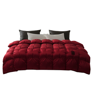 南方寝饰羽梦佳期95白鹅绒被羽绒被子被芯冬被轻盈蓬松保暖不压身