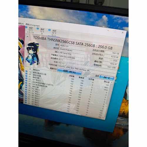 东芝THNSNK256GCS8256G2.5寸SATA固