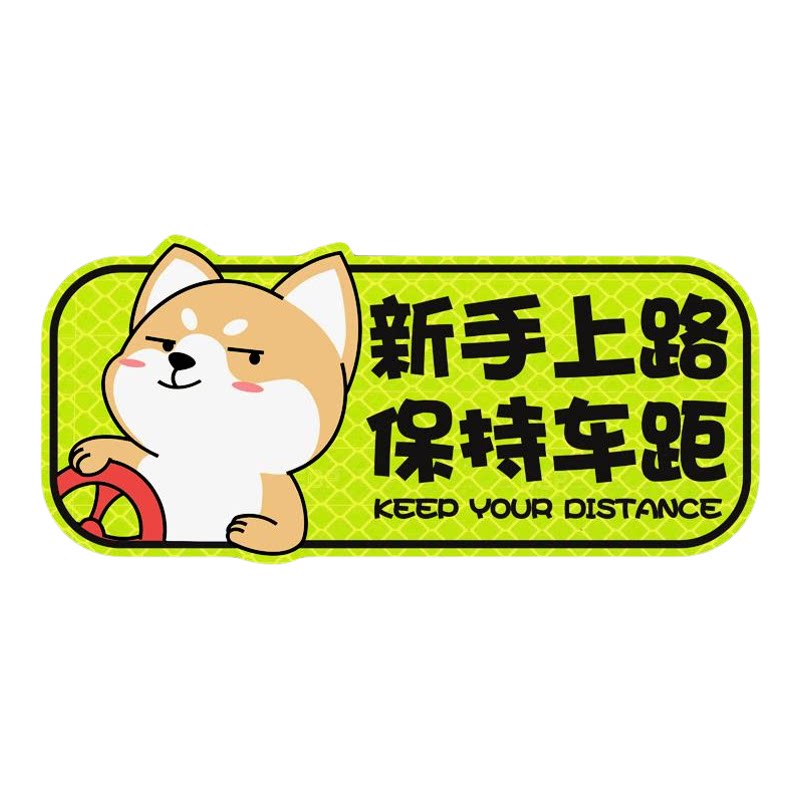 驾驶网红款新手上路神器实习车