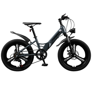 永久儿童自行车中大童青少年变速山地车8一12岁男女孩小学生单车