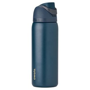 Owala Freesip保温杯吸管杯不锈钢水杯子大容量手提运动水壶945ml