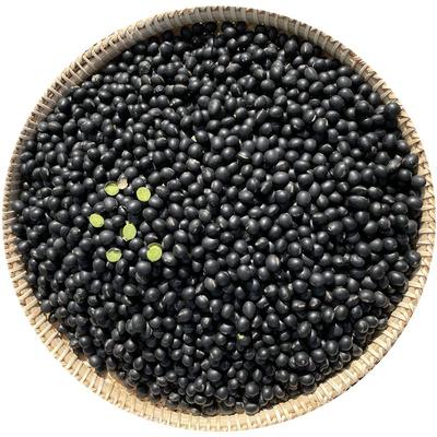 2025东北新绿心黑豆农家自产绿芯黑豆打豆浆生发豆芽五谷杂粮500g