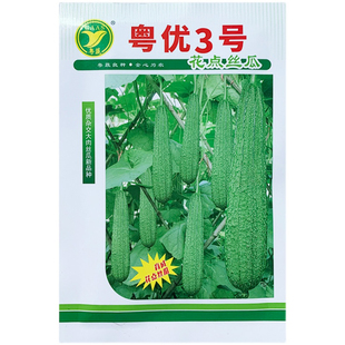 粤优3号花点丝瓜种籽子高产大肉棱角甜丝瓜种孑农科院蔬菜种子