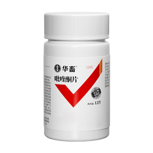 吡喹酮片宠物猫狗犬猫咪体内驱血吸虫绦虫囊尾蚴病泰迪驱虫药柯基