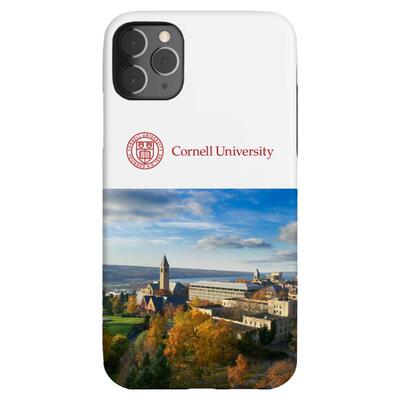 Cornell康奈尔大学手机壳苹果