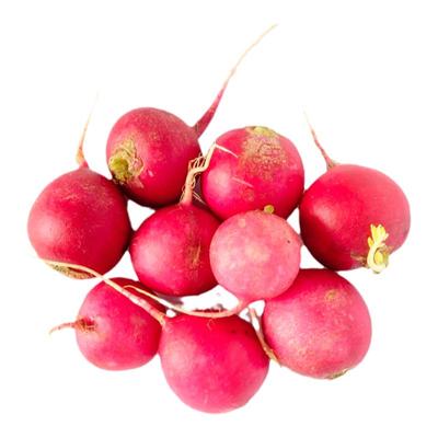 农家自种新鲜樱桃萝卜顺丰发货