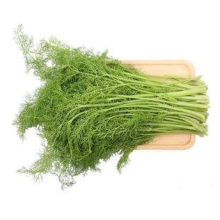 【小汤山】茴香 约250g 新鲜蔬菜当天采摘北京农场顺丰到家