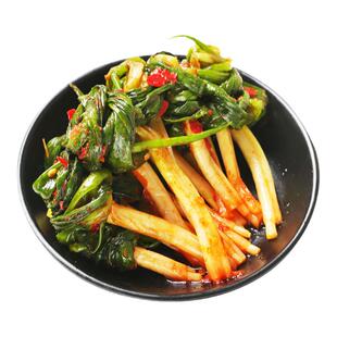 韩食府酱黄瓜辣白菜韩国泡菜正宗延边朝鲜族韩式小葱青年萝卜泡菜
