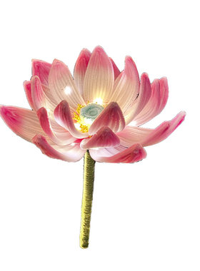 元宵节鱼灯笼马年diy兔子荷花灯