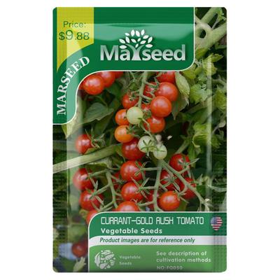 传家宝迷你小红醋栗番茄种子秧苗