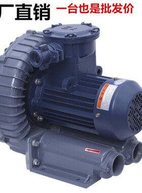 FB-2防爆鼓风机DIIBT4/DIICT4机壳密封漩涡高压防爆鼓风机