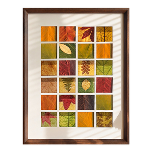 收集秋天落叶标本相框30宫格16创意手工树叶diy捡秋制作装饰画框