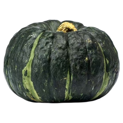 贝贝南瓜正宗新鲜板栗味宝宝辅食