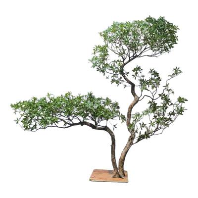 仿真绿植橱窗造景室内仿真树景观装饰所胶玻璃仿真树定做马醉木树