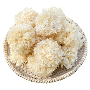 东北椴木小银耳干货出胶糯无硫野生无碎白木耳莲子羹雪耳特产500g