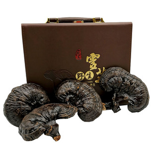 威虎岭吉林灵芝长白山整朵干紫灵芝泡酒东北林芝切片大礼盒装四朵