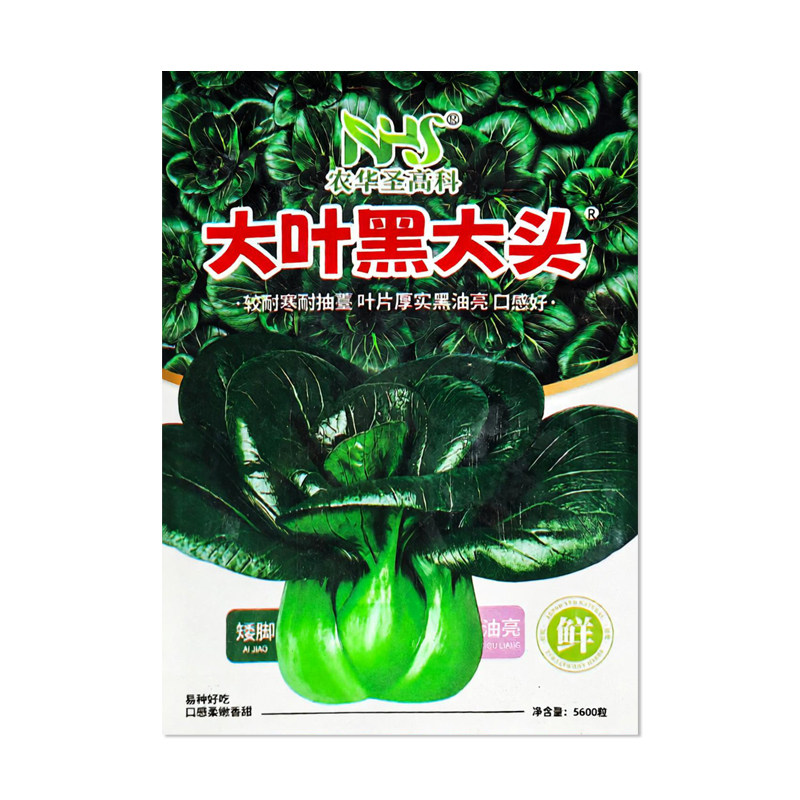 农华圣高科大叶黑大头青菜种子