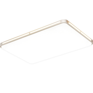 客厅主灯2025新款广东中山灯具现代简约超薄护眼全光谱led吸顶灯