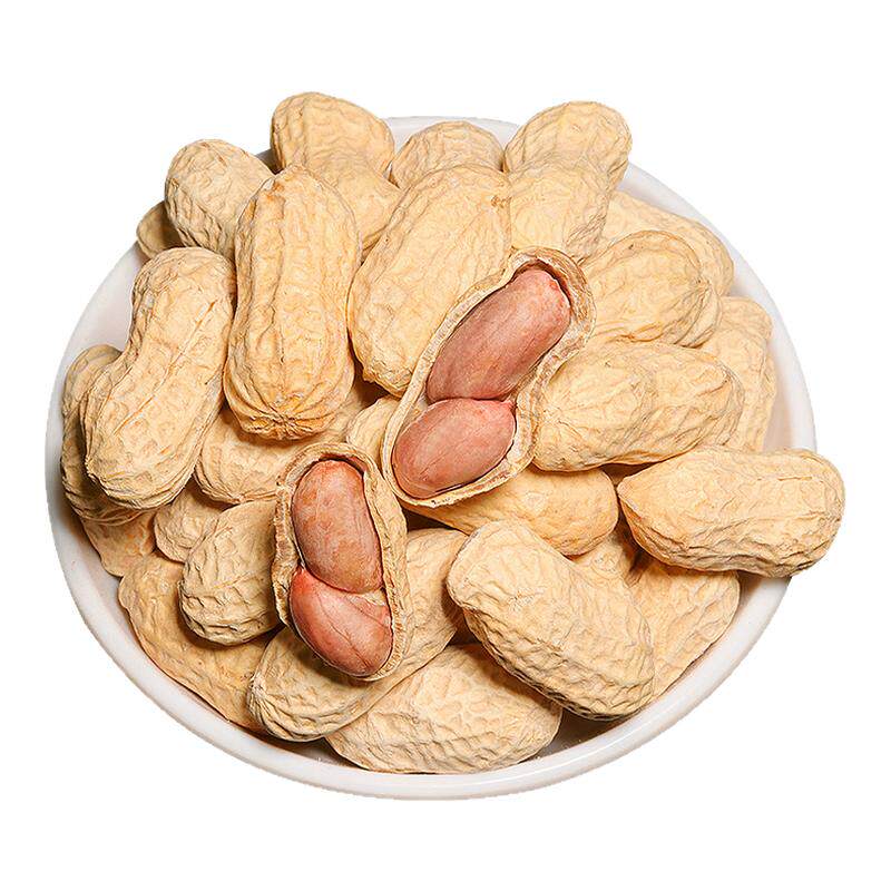 龙岩花生蒜香味500g水煮花生米带壳白晒干果炒货休闲食品零食批发