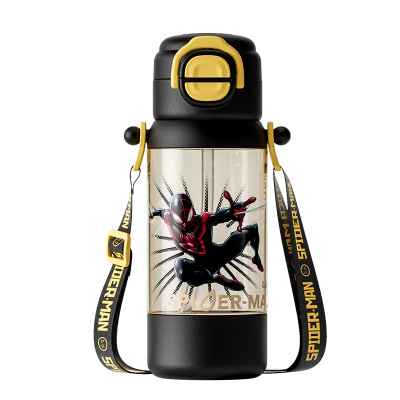 迪士尼水杯双饮口男孩PPSU防摔