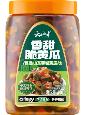 云山半山东聊城特产香甜脆黄瓜