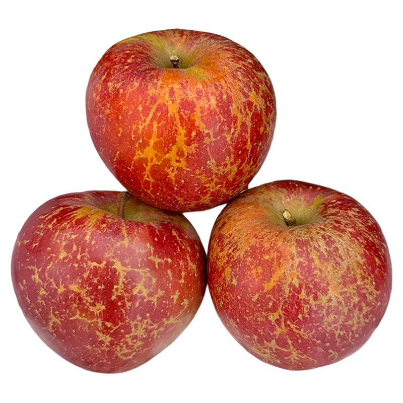 云南昭通丑苹果新鲜水果当季冰糖心红露苹果现摘红富士邵通包邮