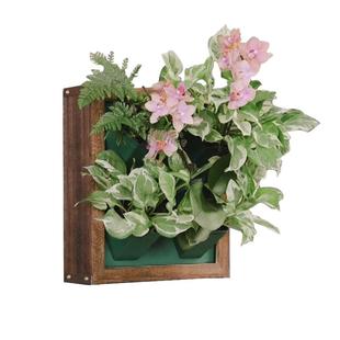 立体多层墙上创意相框挂墙挂壁花架自吸水免打孔水培壁挂花盆花器