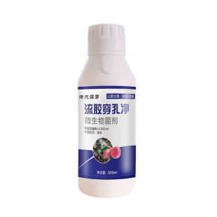 果树流胶病穿孔病缩叶病炭蛆病褐腐病樱桃桃树苹果柑橘溃疡一喷净