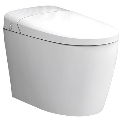 瑞尔特无水压限制智能马桶P13