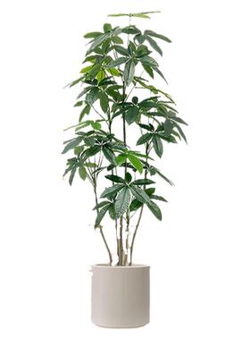 仿真绿植高端轻奢发财树室内客厅装饰摆件大盆栽仿生植物假花摆设