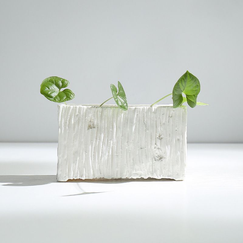 简约素烧水培白色陶瓷器桌面摆件绿装饰花萝花盆多创意家居现代肉