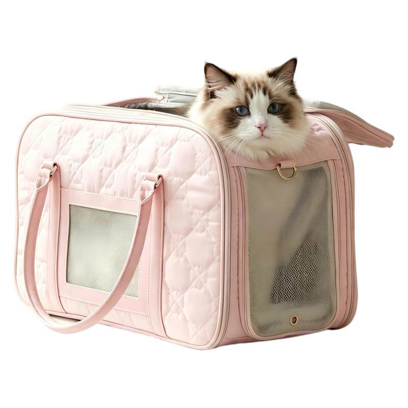 猫包外出便携大空间四季通用透气