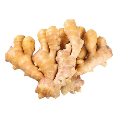 山东大黄姜出口级生姜老姜5斤精选装新鲜风干大块月子食用姜包邮
