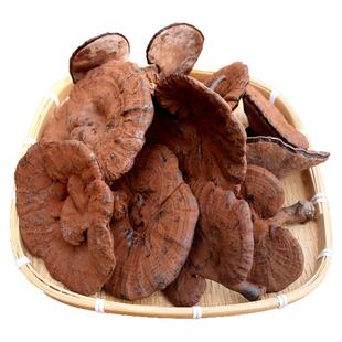 韶关丹霞山紫灵芝500g整枝半野生深山林下大朵粉灵芝护肝祛湿煲汤