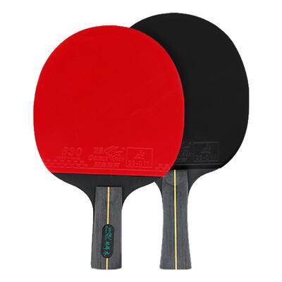 双鱼高性价比六星兵乓球拍套装