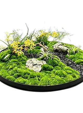 餐桌转盘永生苔藓造景摆花