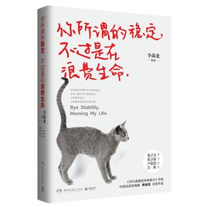 正版包邮 你所谓的稳定，不过是在浪费生命 你只是看起来很努力 李尚龙写给年轻人成长成功书籍 随笔故事励志青春文学