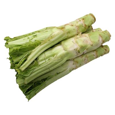 四川棒菜种子秋季特大