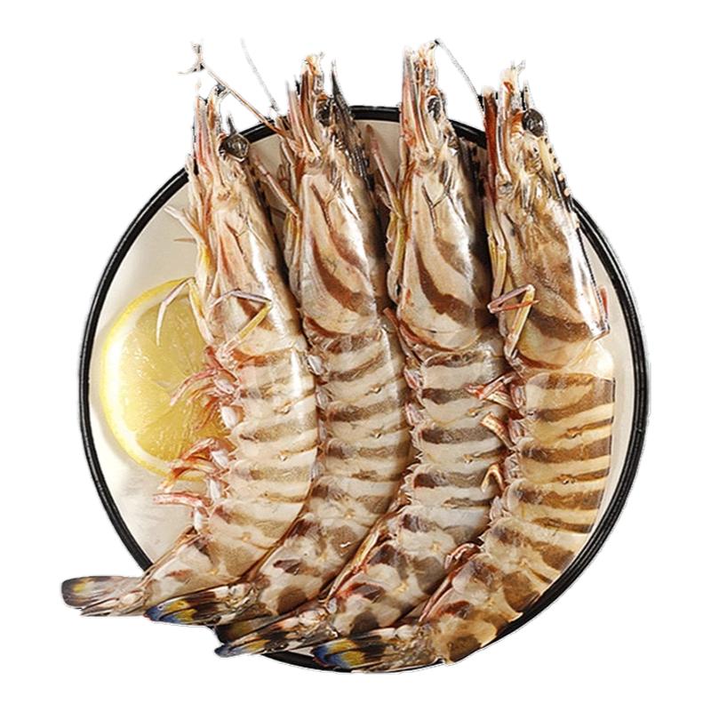 【甄选】舟山野生竹节虾九节虾斑节虾鲜活特大号海虾速冻非基围虾
