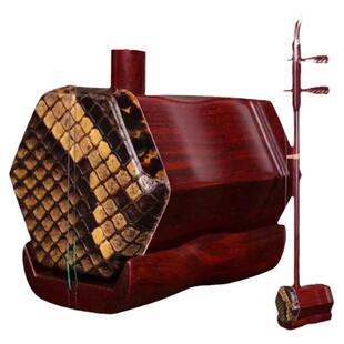 苏玉紫檀二胡红木二胡乐器小叶紫檀大音量初学成人演奏级厂家直销