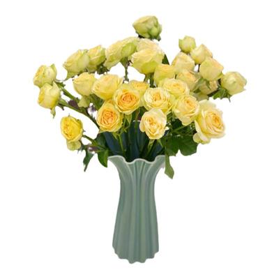 全色系精品云南玫瑰鲜花基地直发