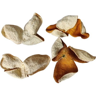 正宗茶枝柑陈皮陈皮特惠