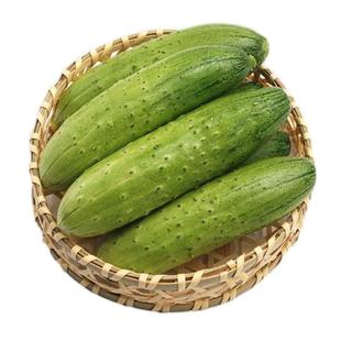 京农研瓜种子水果旱黄瓜贝贝南瓜苦瓜串铃冬瓜羊角蜜甜瓜蔬菜种籽