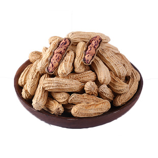 云南七彩花生1000g带壳新货生花生米熟花生新鲜种子籽野地黑花生5