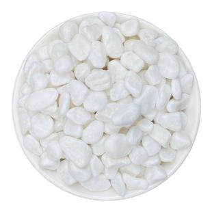 50斤白石子石头大鹅卵石庭院铺路铺地小白石头造景景观白色石子