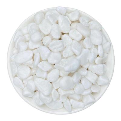 【全网低价】50斤白石子庭院造景