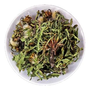 蒲公英中药材小药仙正品野生整颗蒲公英茶婆婆丁粉仆公英黄花地丁