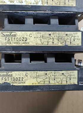 FST100Z2，有20几只。