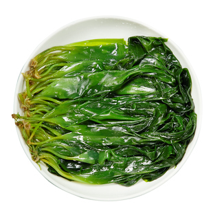 潮夫道霞浦海带苗嫩苗新鲜速冻免泡发小海带丝非盐渍干货火锅食材
